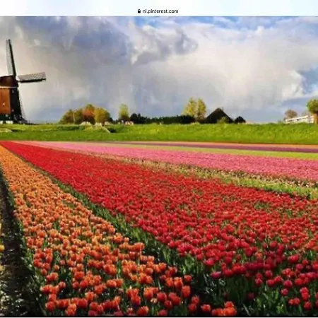 Duenenblick Am Aber 400 Meter Entfernt, Mit Renoviertem Badezimmer * Julianadorp