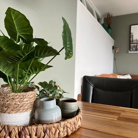 Duenenblick Am Aber 400 Meter Entfernt, Mit Renoviertem Badezimmer Διαμέρισμα Julianadorp