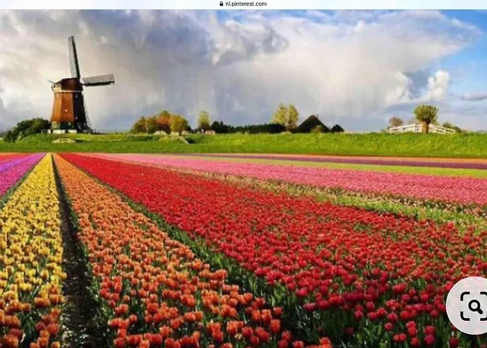 Duenenblick Am Aber 400 Meter Entfernt, Mit Renoviertem Badezimmer * Julianadorp