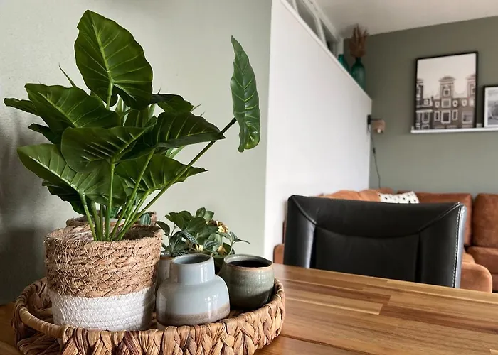 Duenenblick Am Aber 400 Meter Entfernt, Mit Renoviertem Badezimmer Apartment Julianadorp